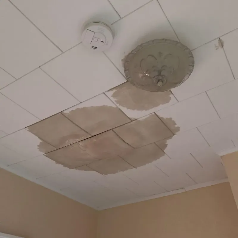 Ceiling Water Damage Repair in Fremont County, WY