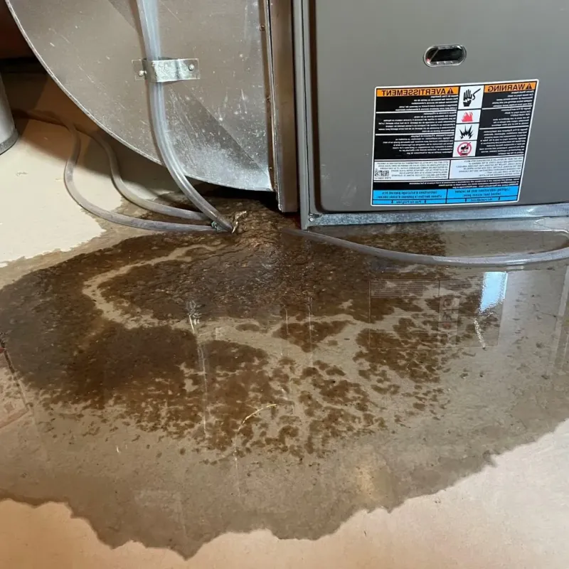 Pipe Burst and Leak Restoration in Fremont County, WY