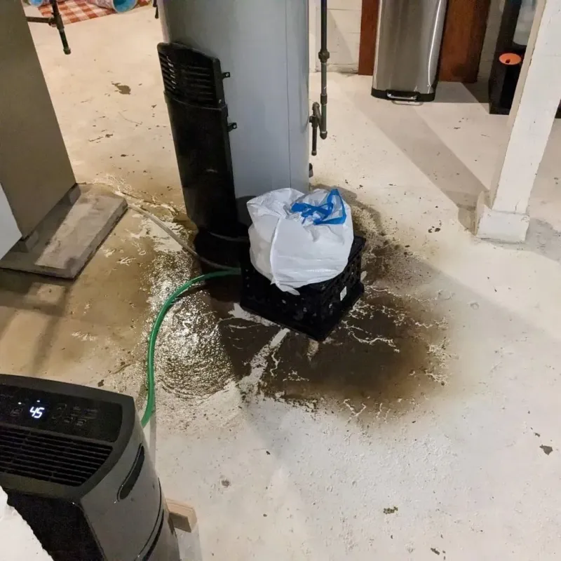 Sewage Backup Cleanup Service in Fremont County, WY